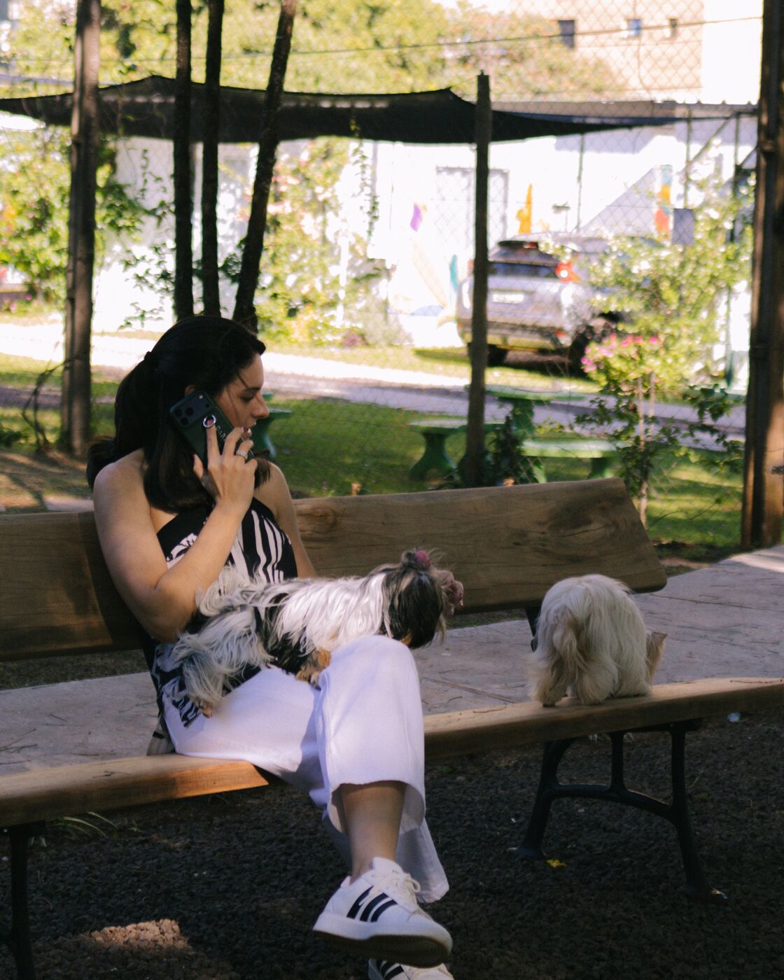 Mulher ao telefone num banco com dois cachorros