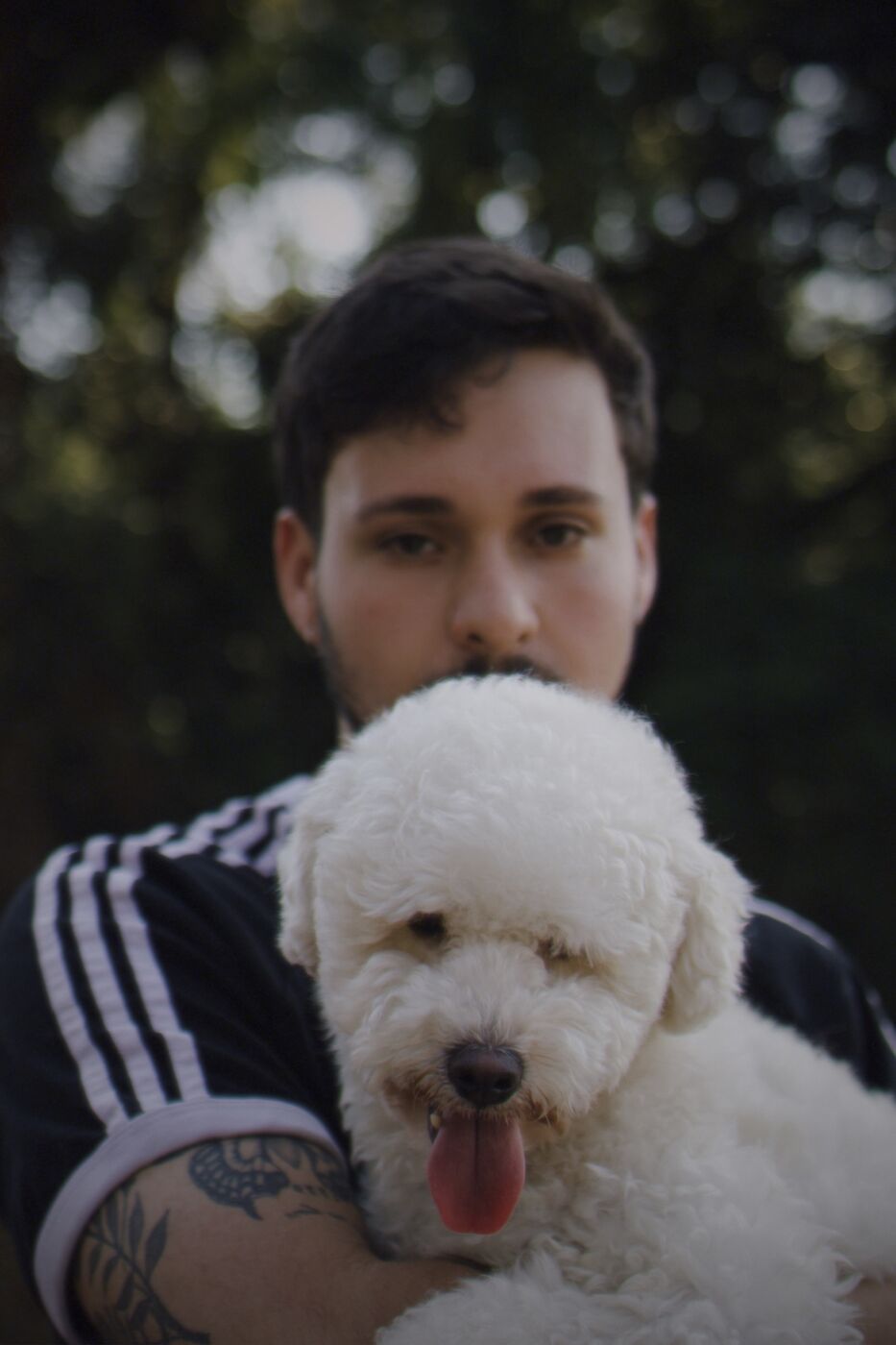 Poodle em foco com o tutor desfocado atrás
